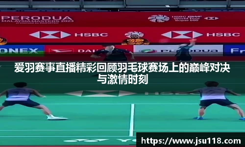 爱羽赛事直播精彩回顾羽毛球赛场上的巅峰对决与激情时刻